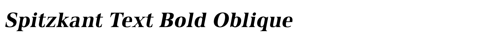Spitzkant Text Bold Oblique image